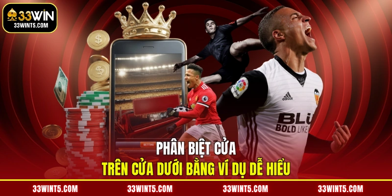 Phân biệt cửa trên cửa dưới bằng ví dụ dễ hiểu